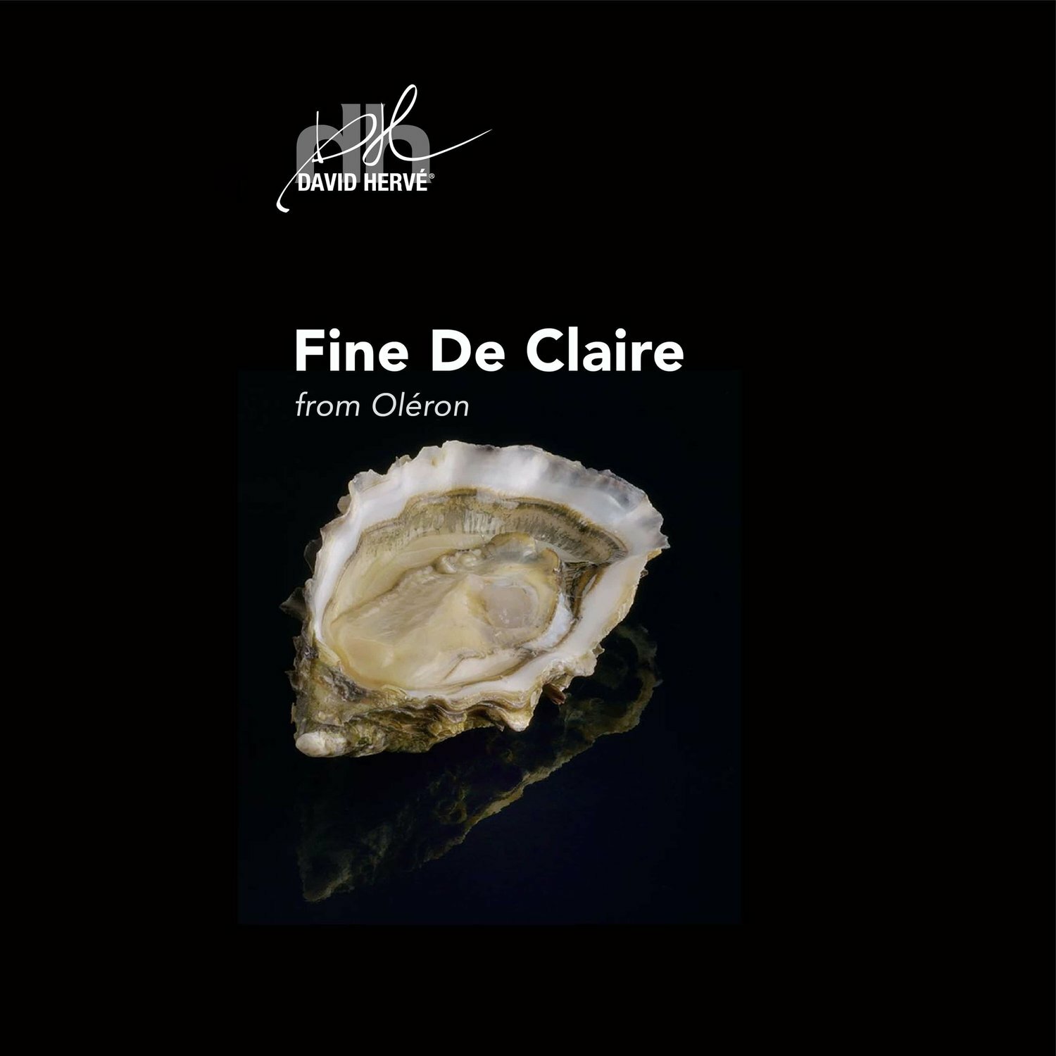 【David Hervé 大衛赫夫】Fine de Claire + 樂奇雅黑松露油組合