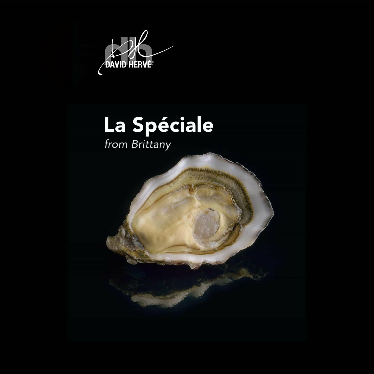 Oysters 【David Hervé 大衛赫夫】La Spéciale N2特級生蠔 -12顆
