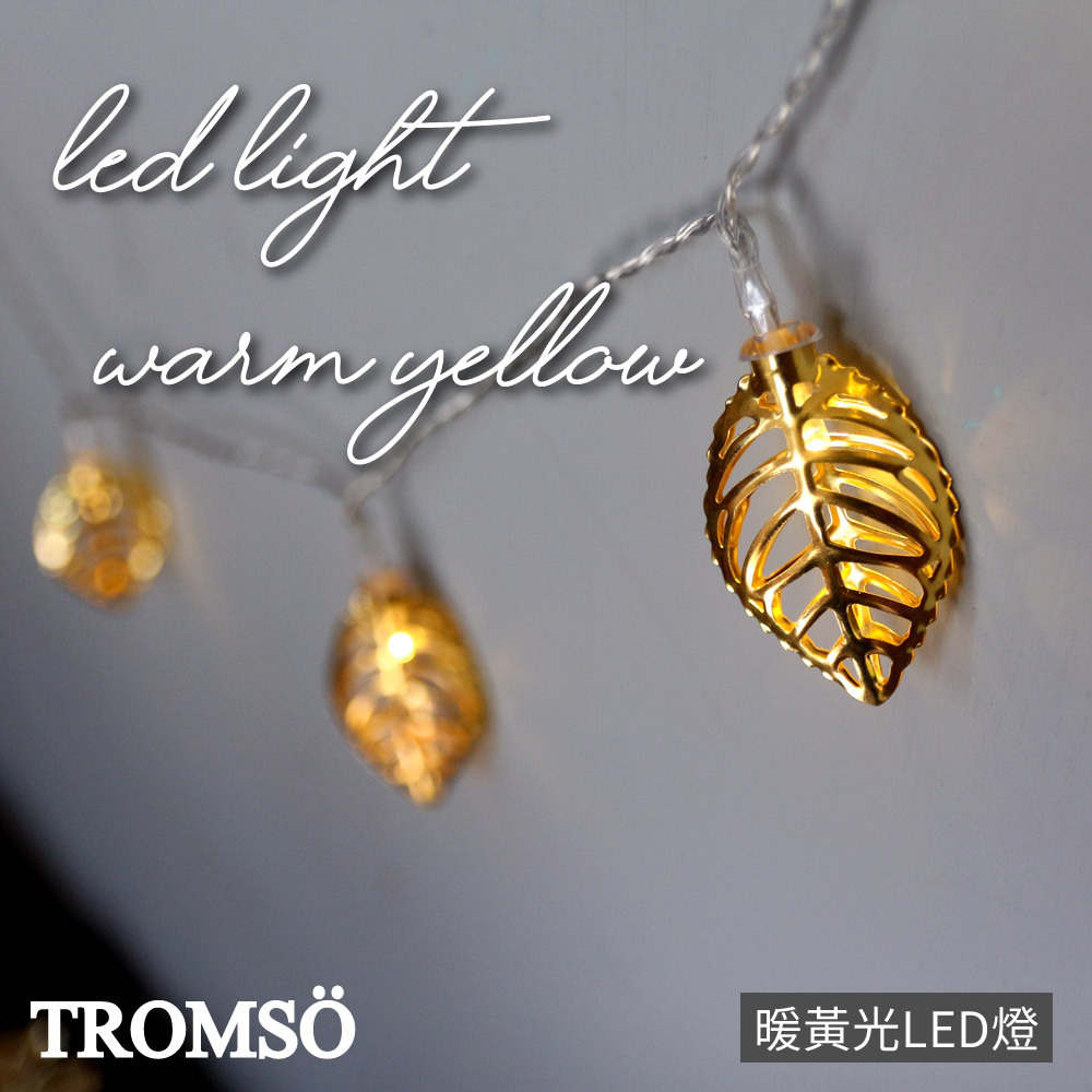 TROMSO-LED金屬奢華金葉10燈串