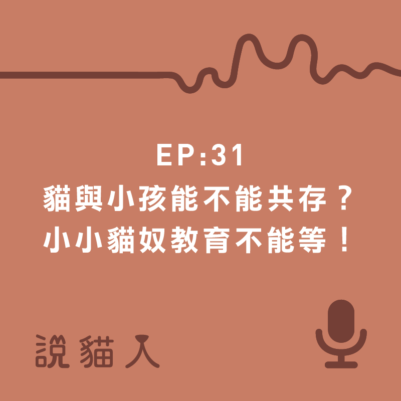 說貓人,貓咪,寵物, 拍拍, 寵物用品設計, 單熙汝, 動物行為,動物心理,小小貓奴教育