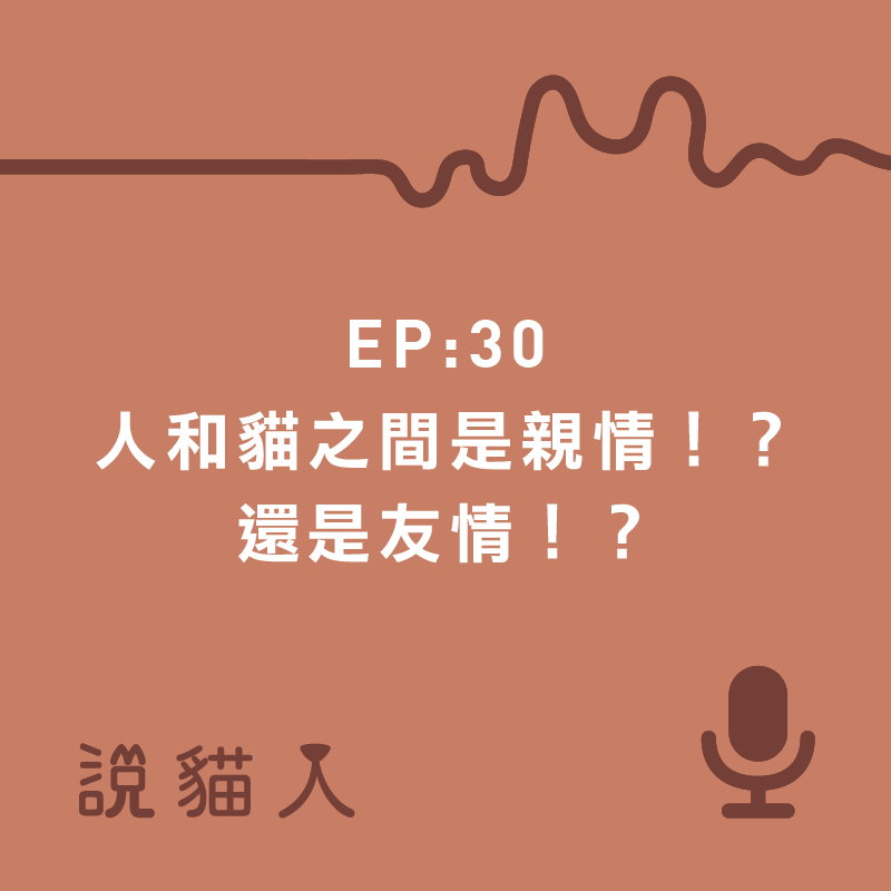 說貓人,貓咪,寵物, 拍拍, 寵物用品設計, 單熙汝, 動物行為,動物心理