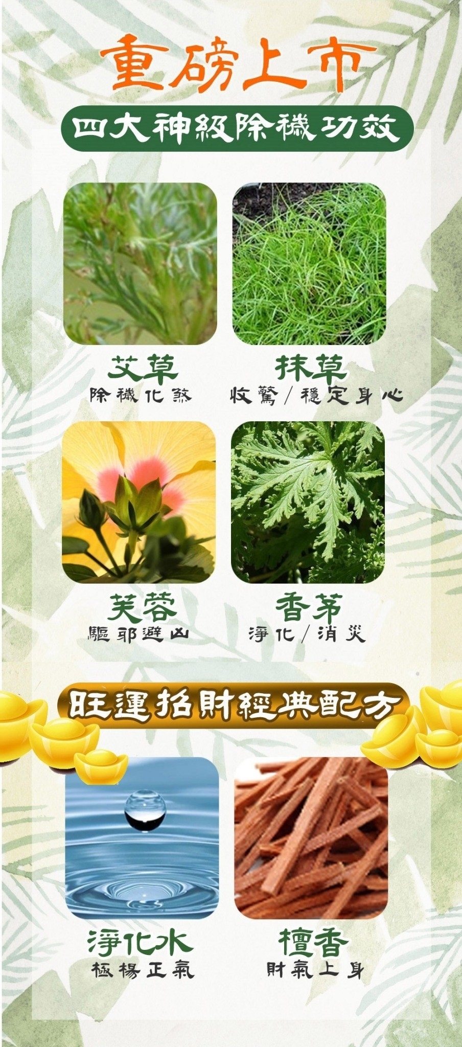 潔芬,JIEFEN,抗菌,洗手露,洗手乳,4000ml,補充桶,艾草,淨化,檀香,台灣製造,MIT,年度熱門商品,蝦皮熱賣