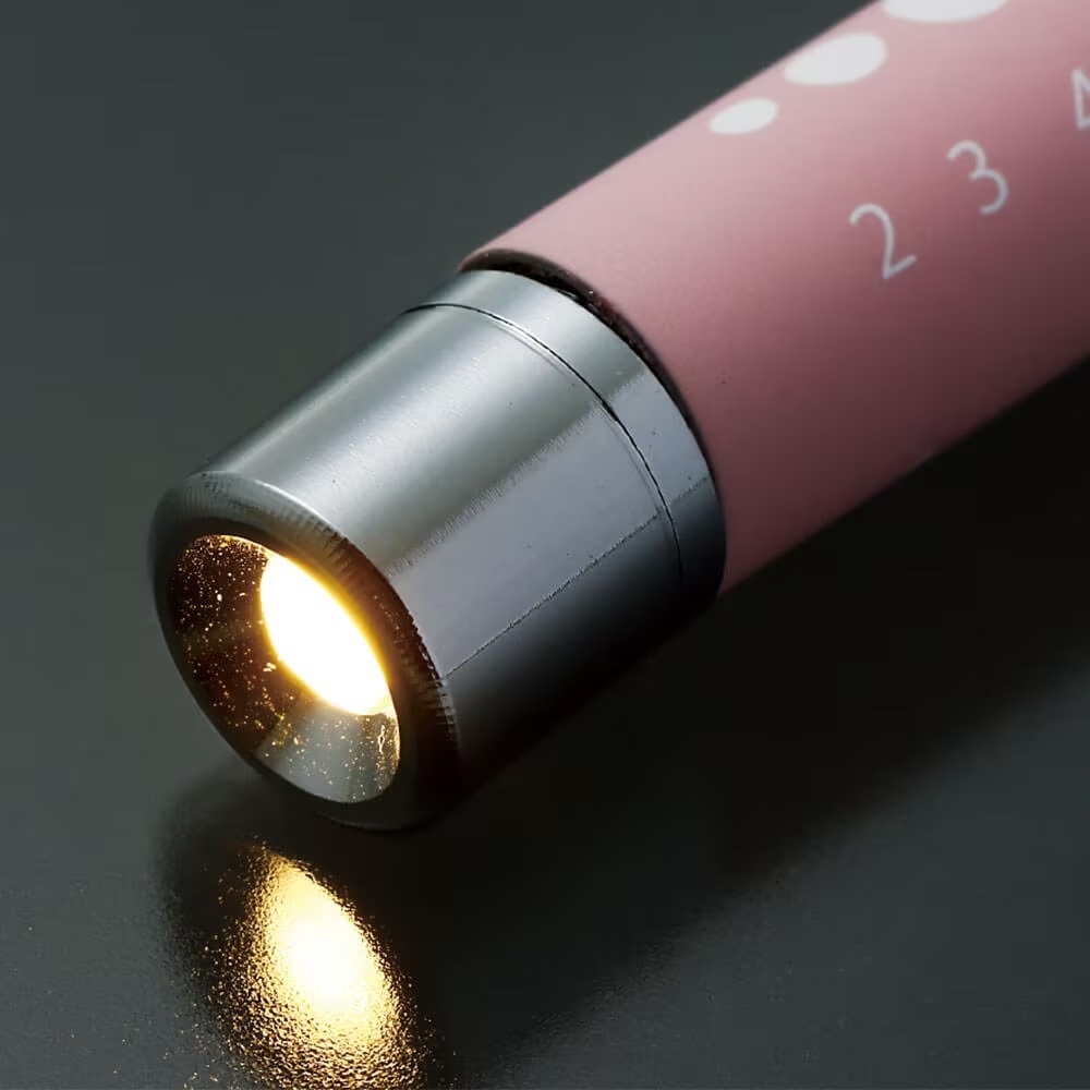 [預購] 柔和色調輕量橡膠質感電筒筆