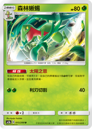 AC2AF 015/200 森林蜥蜴