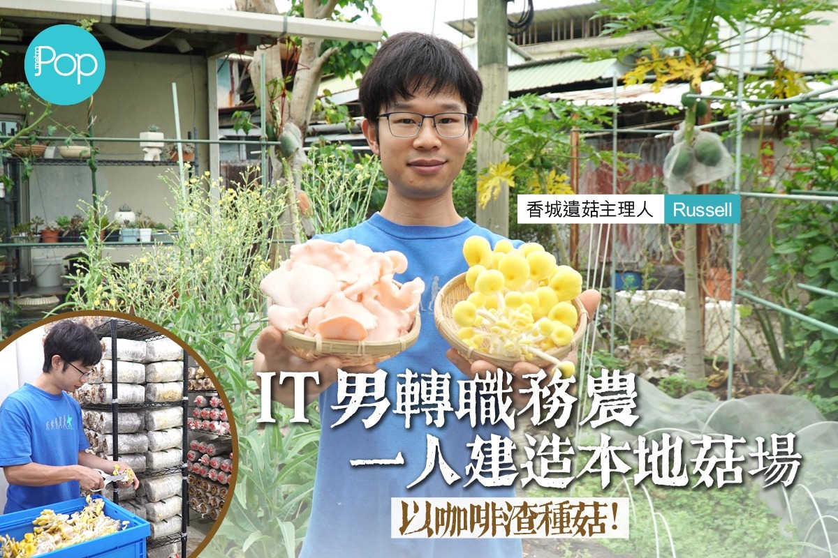 香城遺菇｜純正蠔菇粉（替代人工味精的提鮮調料！）｜素食