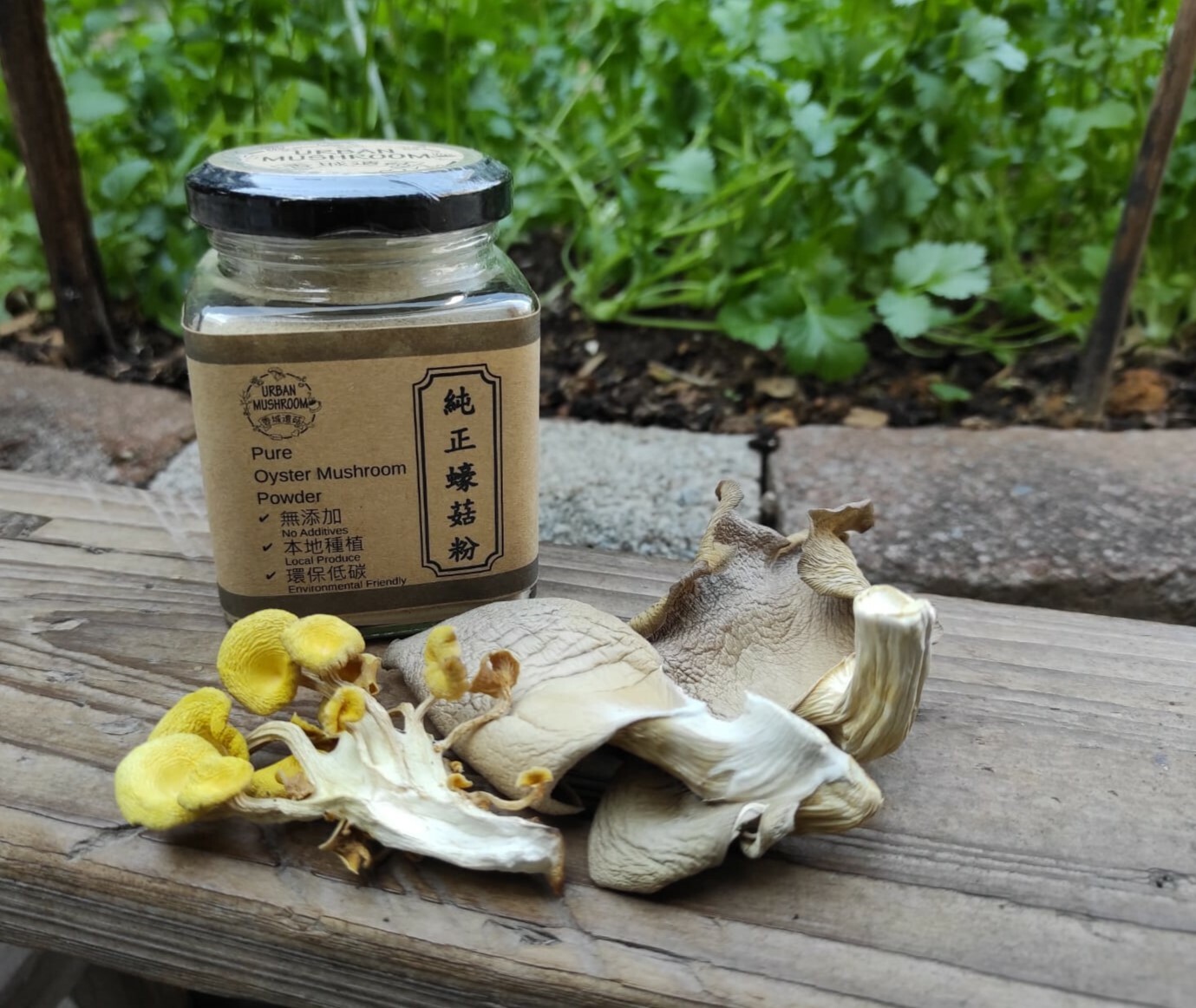 香城遺菇｜純正蠔菇粉（替代人工味精的提鮮調料！）｜素食