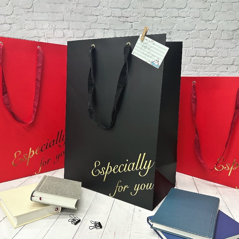 四季紙品 手提袋直式加大 33*46*18cm【BD14001】