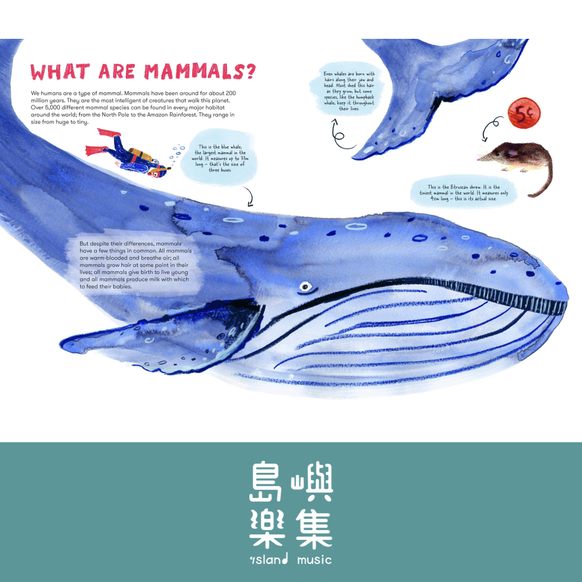 Mama Mammals: Reproduction and birth in humans and other mammals