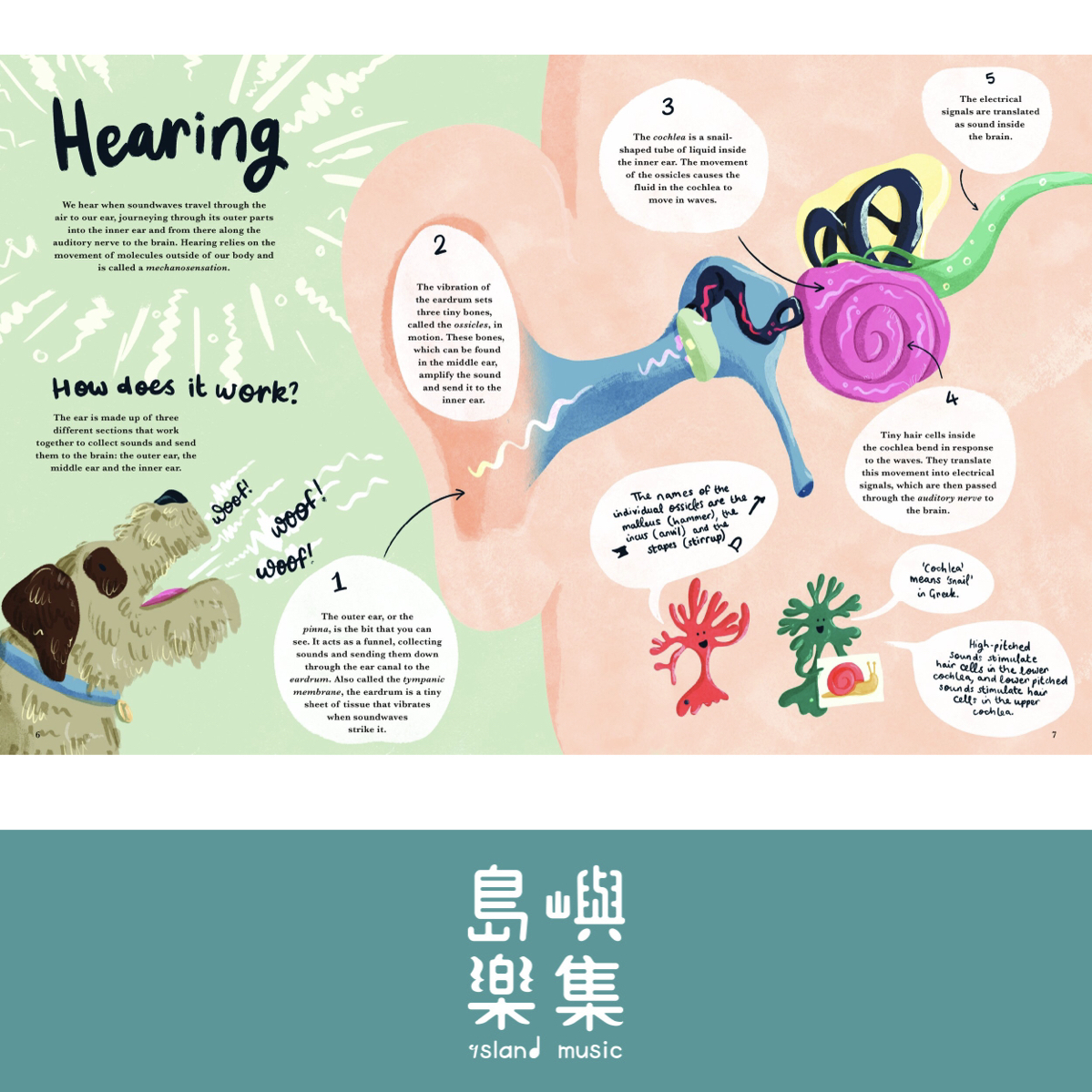 Cat Eyes and Dog Whistles