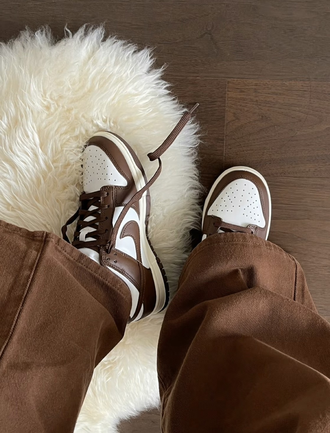 <快速出貨> NIKE W DUNK LOW BROWN SAIL 可可摩卡 (DD1503124)