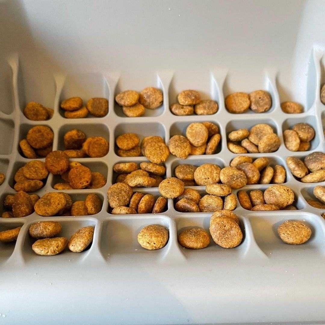 美國Fluff Trough-格子槽(四色）