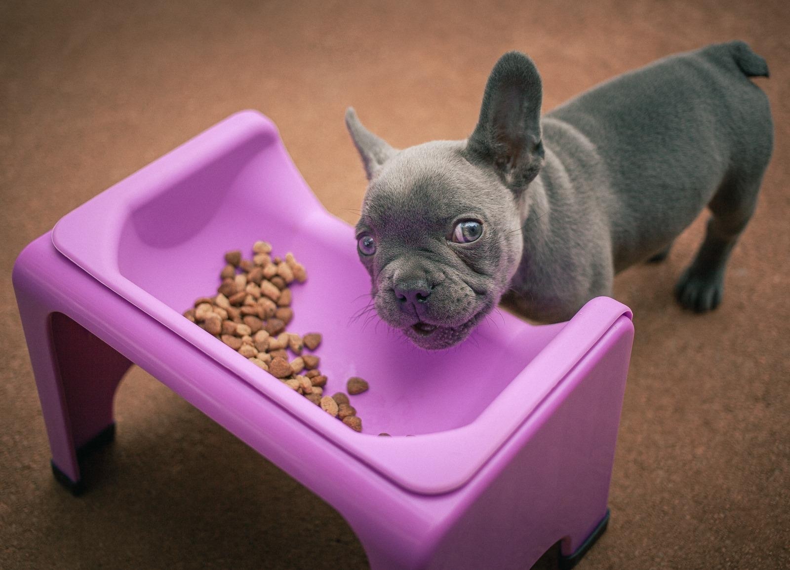 美國Fluff Trough-緩食槽組(四色）