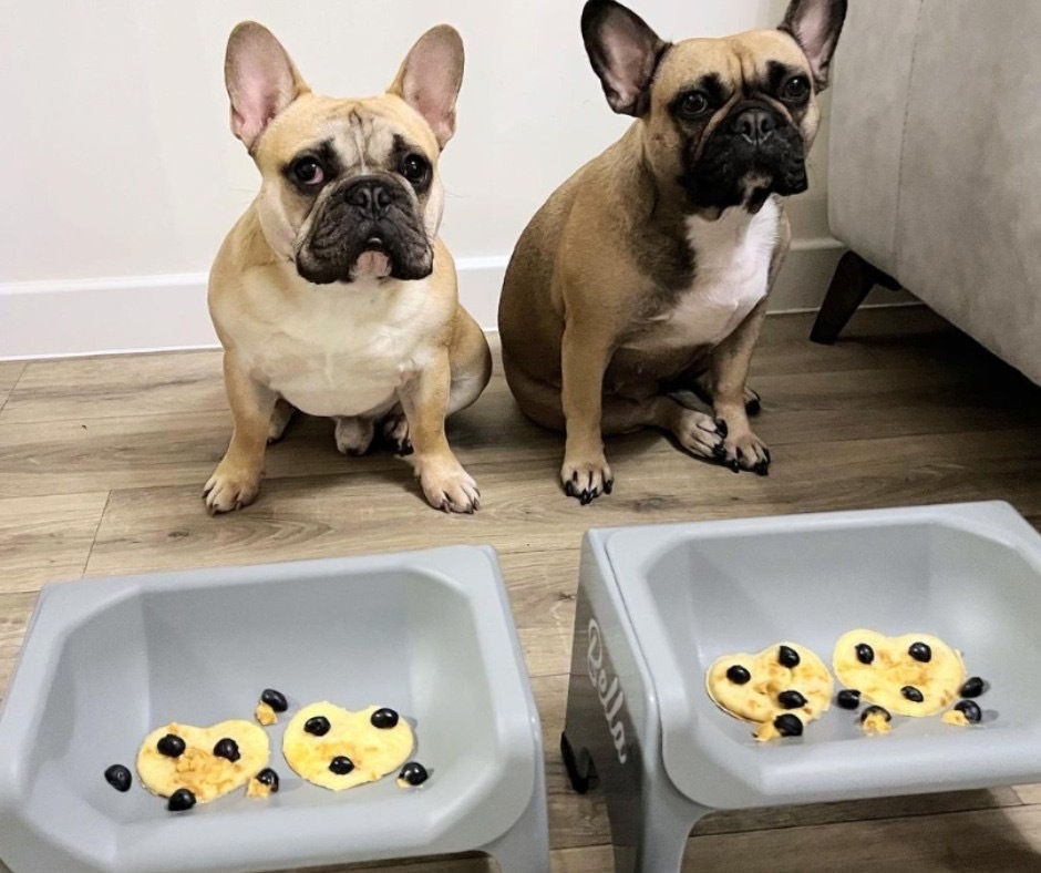 美國Fluff Trough-緩食槽組(四色）