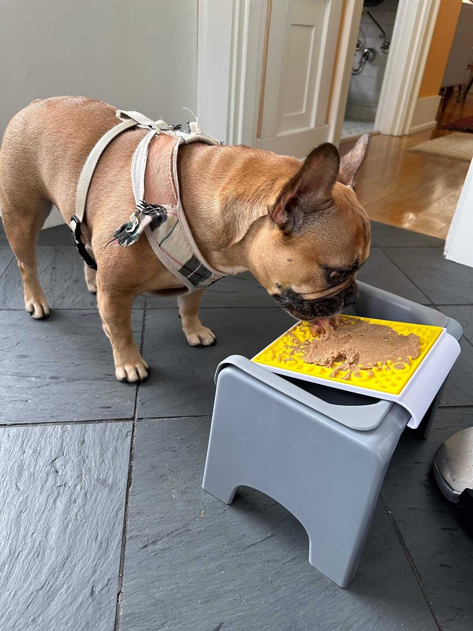 美國Fluff Trough-舔食盤組