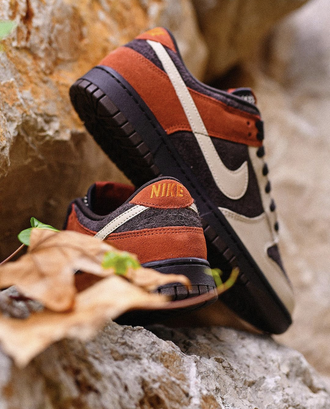 【Focus Store】預購 Nike Dunk Low "Red Panda" 紅熊貓 FV0395-200