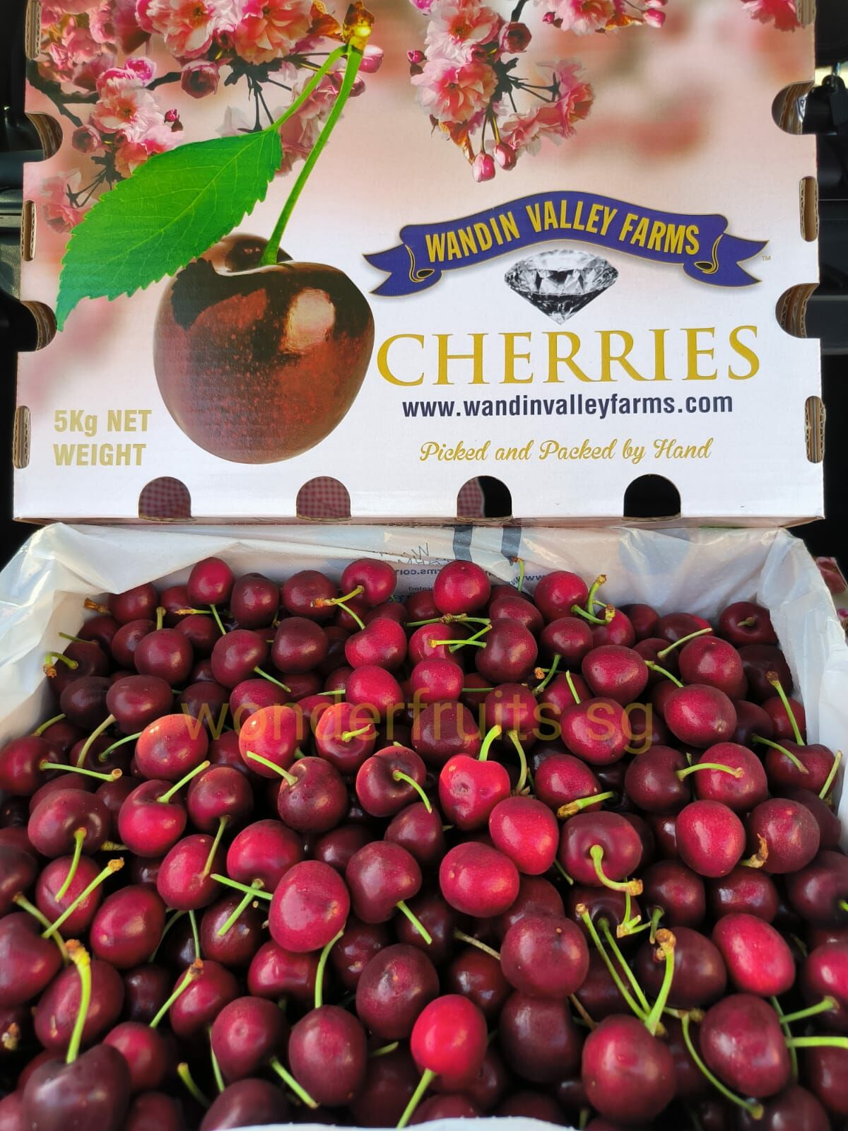 Aust Fresh Cherries 500g 29 / 1kg 56
