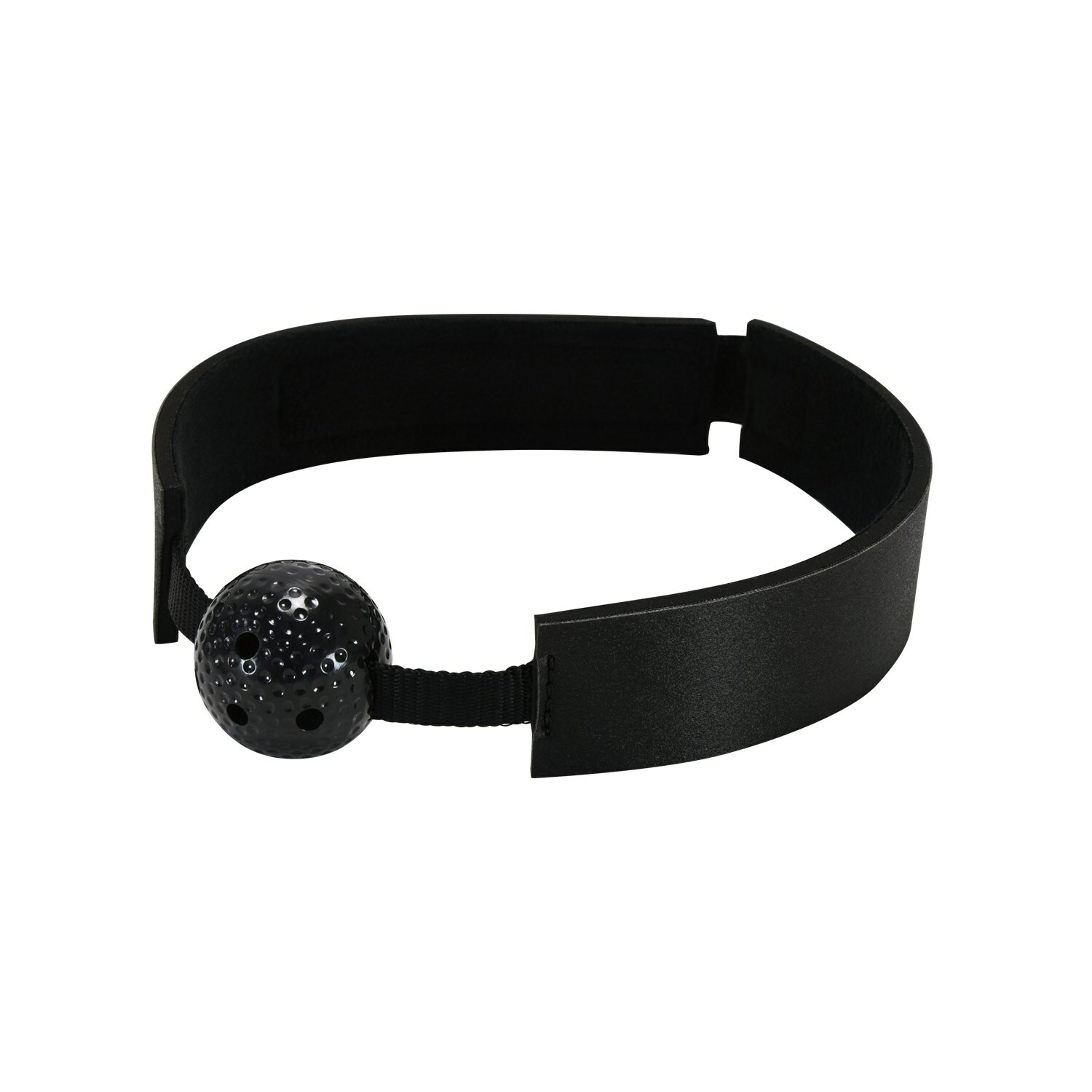 日本NPG SM用品 初心入門10款 No.2 - 口枷