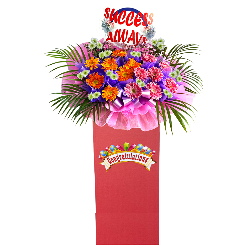 HCB86⭐⭐⭐⭐⭐member discount