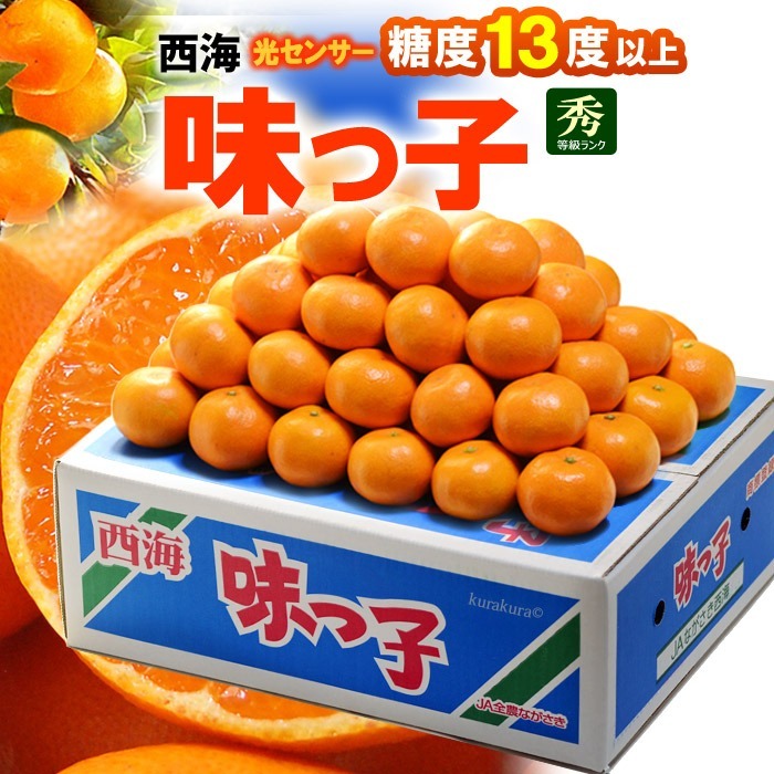 長崎 西海味之子蜜柑 約5kg/箱