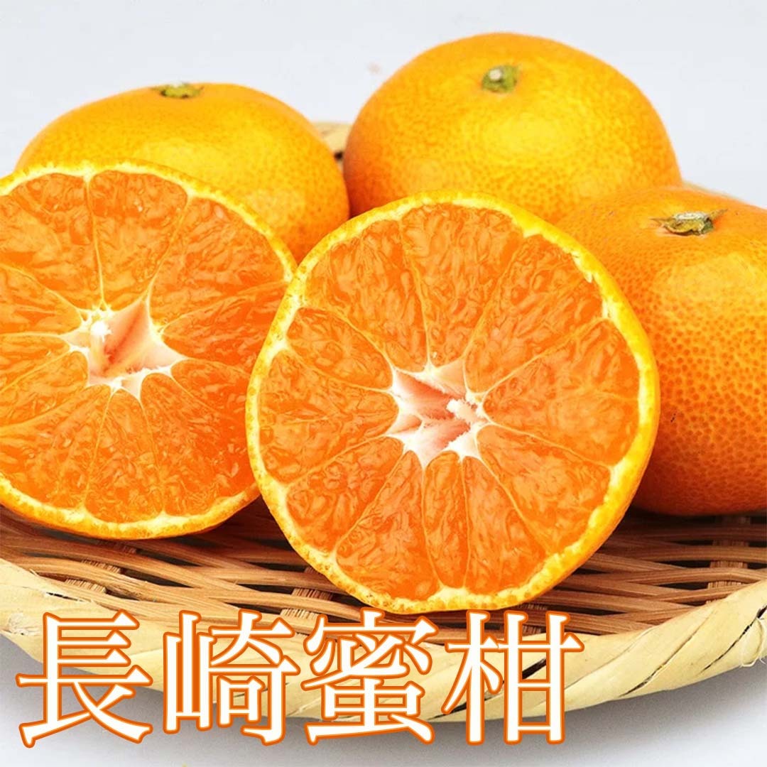 長崎蜜柑 約5kg/箱