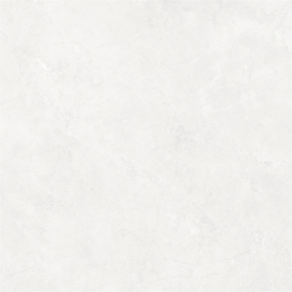 EGEL6601