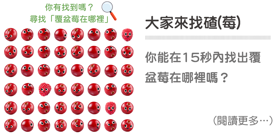 尋找「覆盆莓在哪裡」❓ 你有找到嗎❓