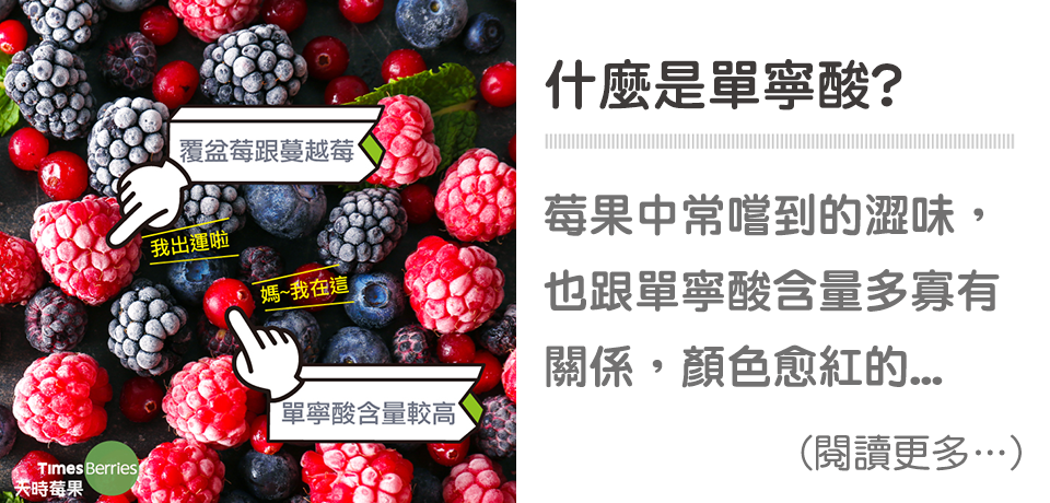 什麼是單寧酸❓ 什麼食物含有單寧酸❓ ∣ 天時莓果