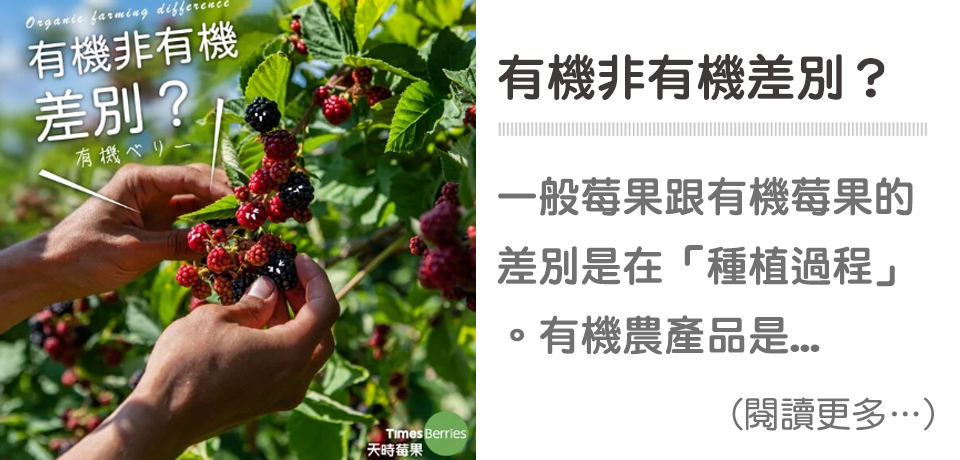 有機莓果｜天時莓果TimesBerries