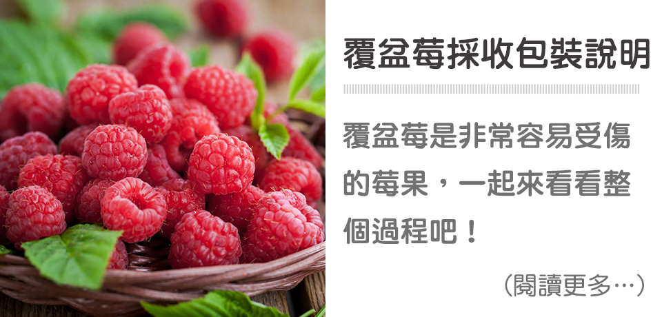 覆盆莓｜天時莓果TimesBerries