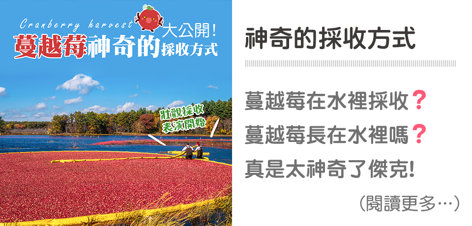 蔓越莓｜天時莓果TimesBerries
