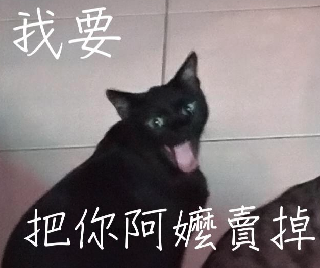 喵～～喵喵～～喵喵喵