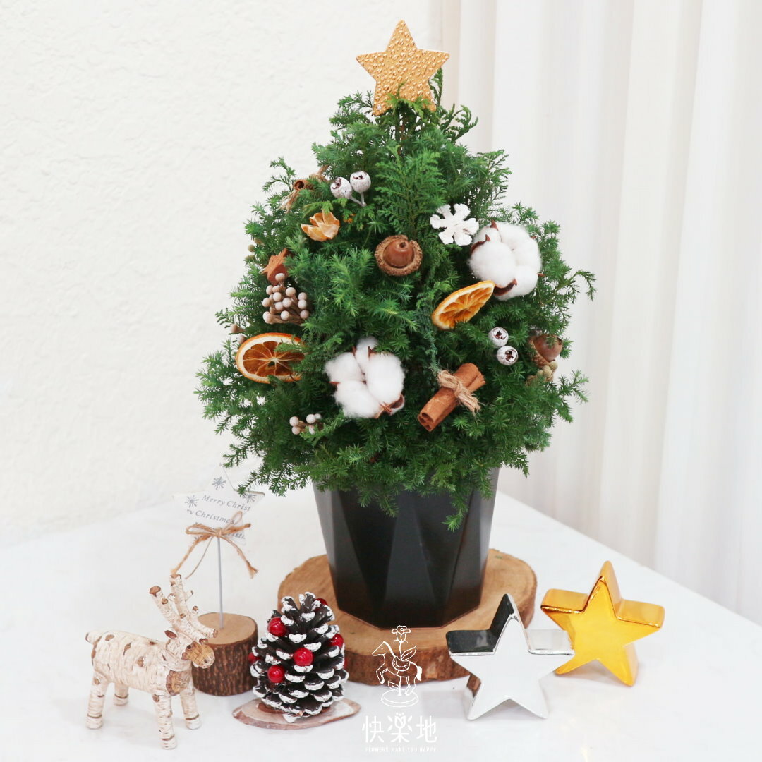 美麗的豐收 I 聖誕樹   XM230350