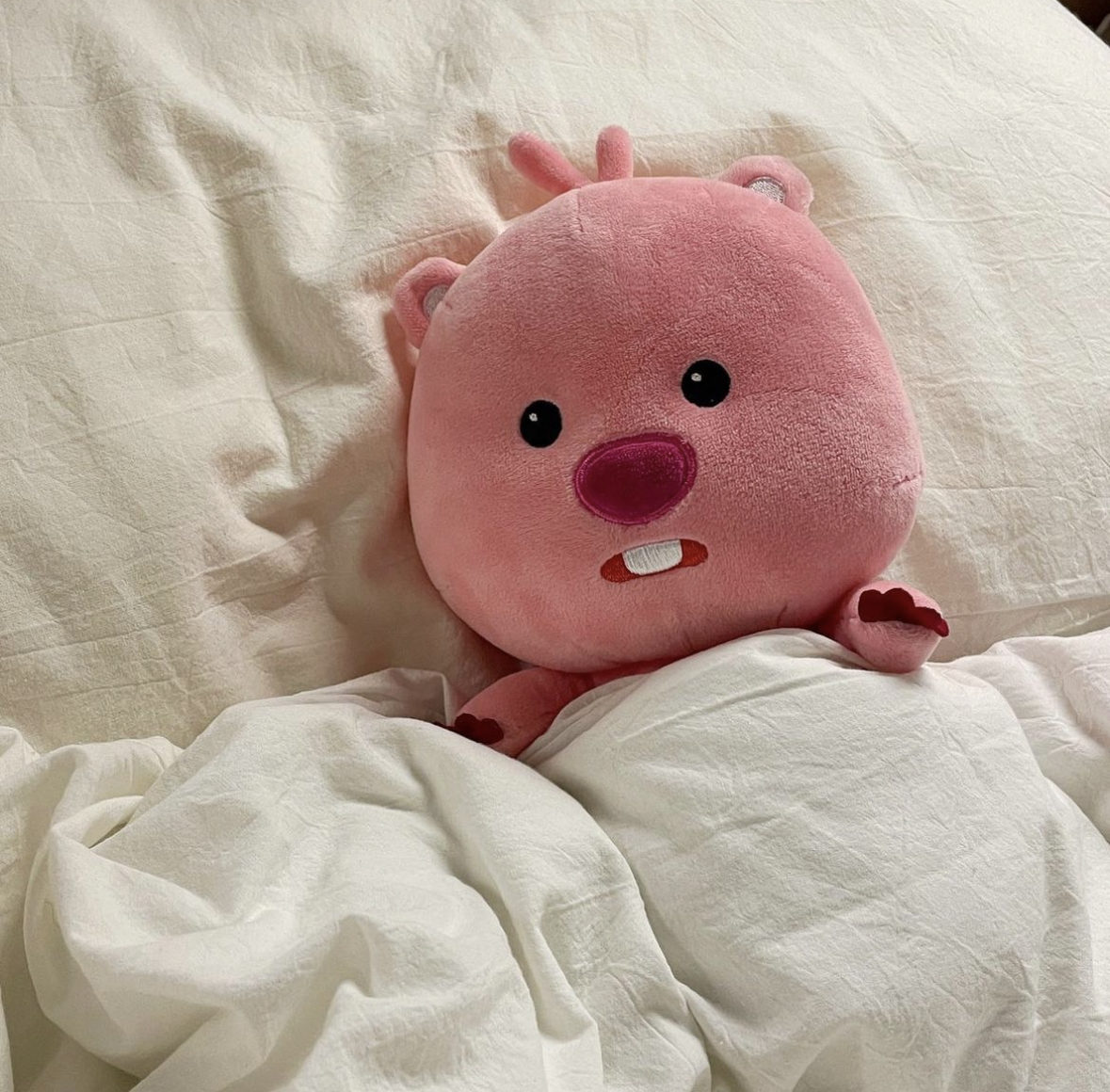 韓國🇰🇷連線 Loopy 正版周邊 韓國 露比 小海貍 粉色 玩偶 抱枕 吊飾 花束 毯子 日曆筆筒 零錢包 垃圾桶 (任買兩個免運)/ 預購