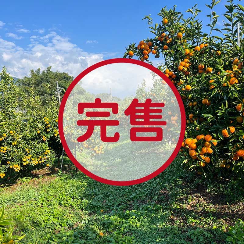 【佛利蒙柑橘】產季9月~10月