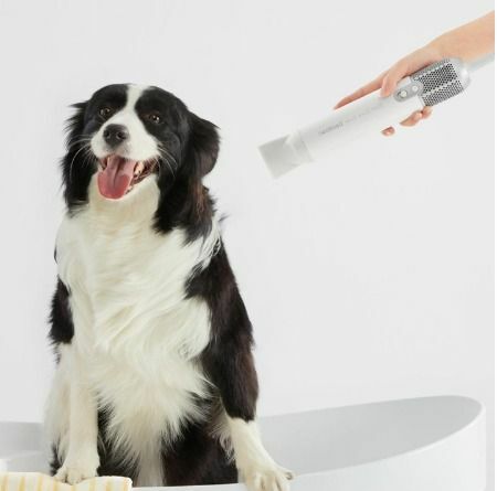 Neakasa - F1 寵物高速吹風機(7600rpm)(遠大功率靜音|大型犬貓咪專用|烘乾|吹毛)