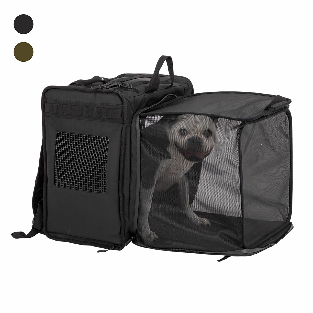 Mandarine Brothers 可外展寵物背包．2色