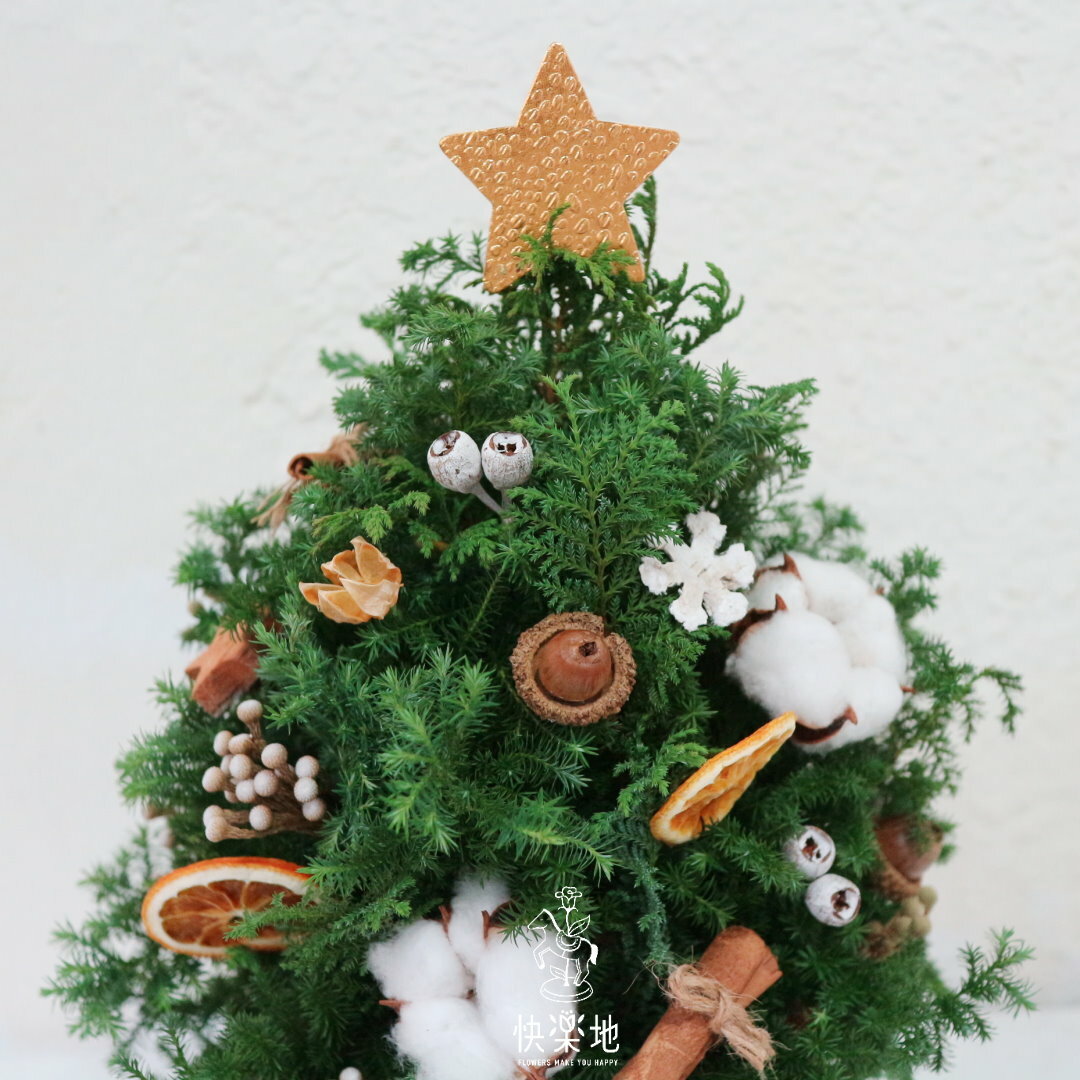 漫步森林 I 聖誕樹 I 聖誕節手作課