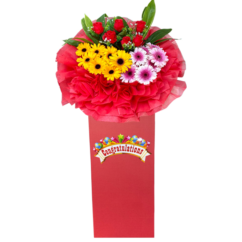 HCB75 ⭐⭐⭐⭐⭐MEMBER DISCOUNT