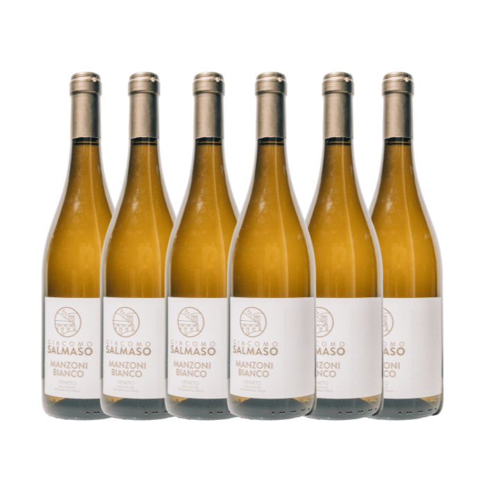 Giacomo Salmaso - Manzoni Bianco 2023 (6 bottles)
