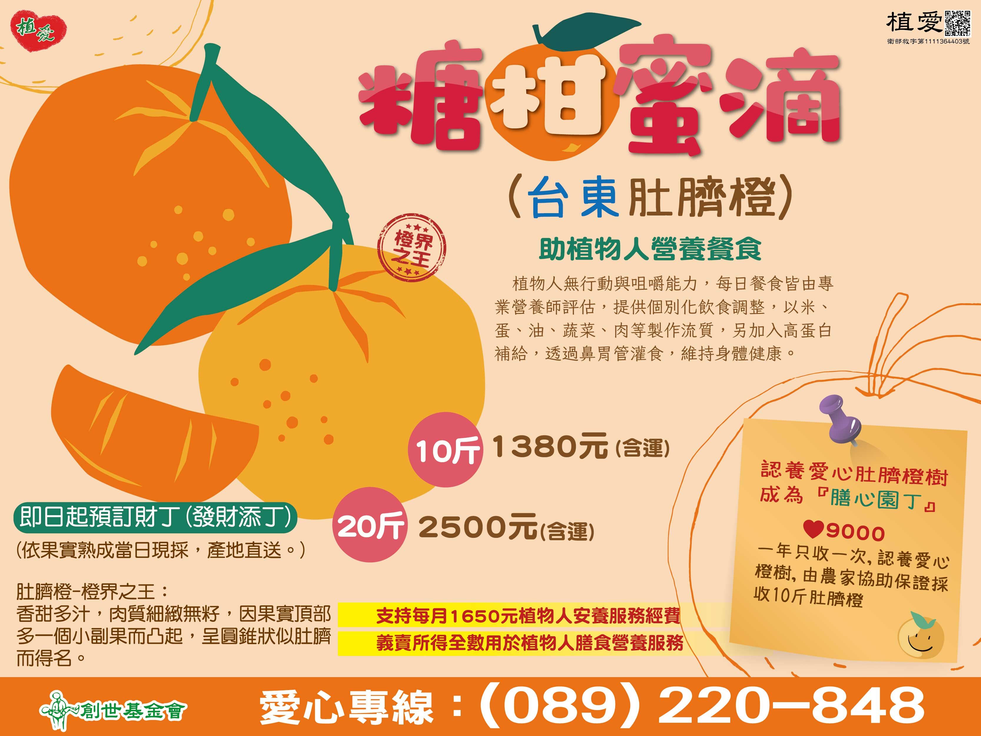 台東院│冬季限定-肚臍橙(含運)
