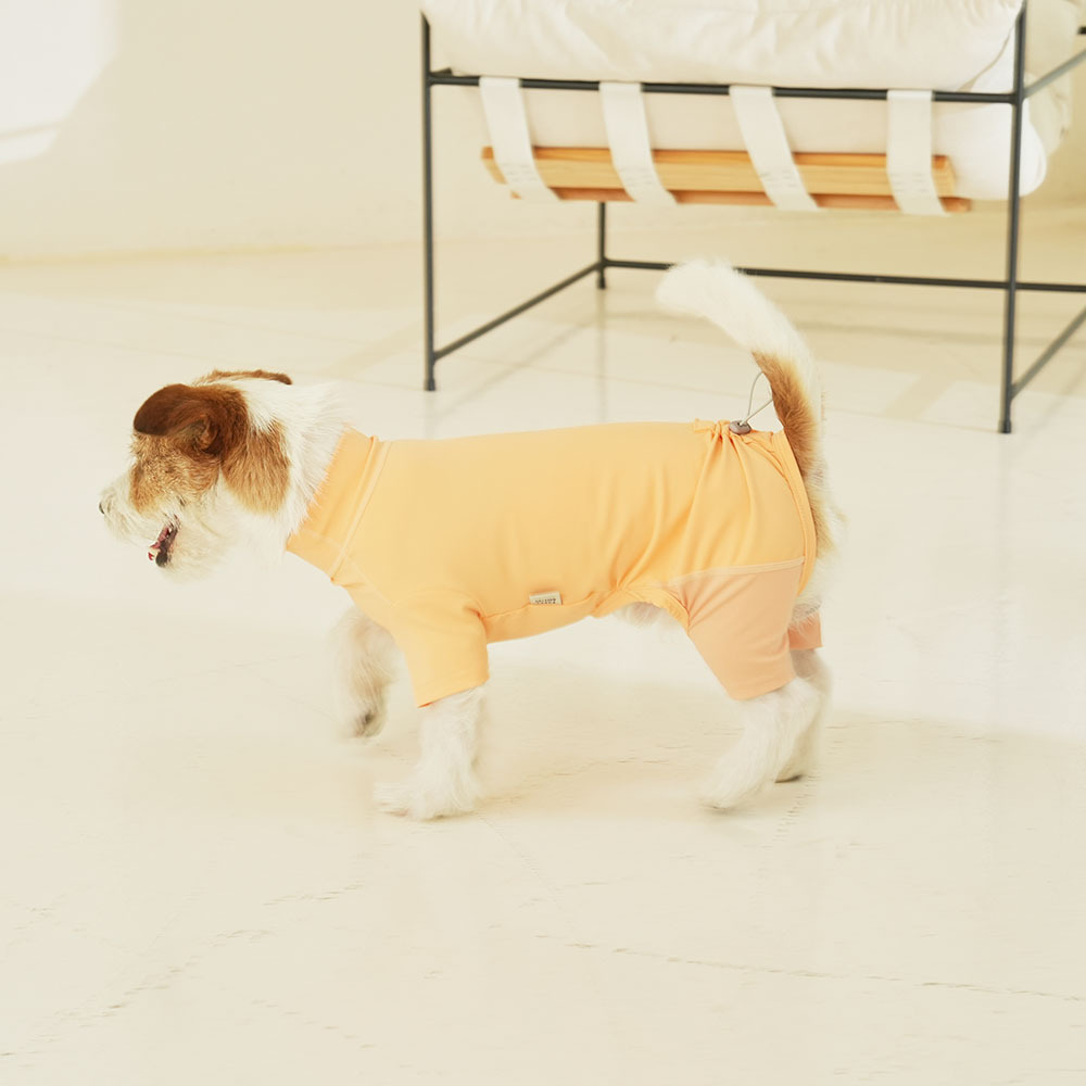 puppygallery｜All day運動服 (橘色)