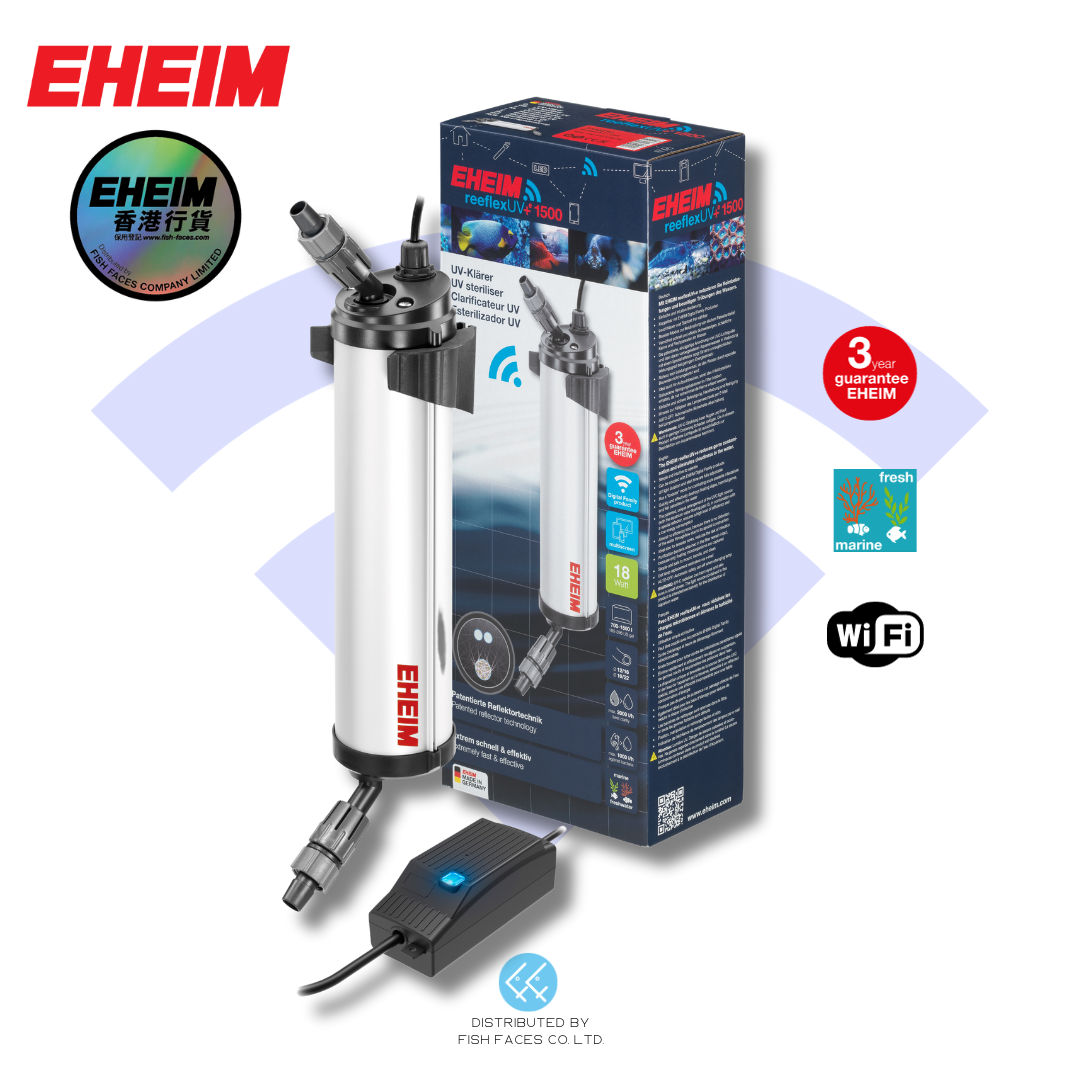 original.png?1699356073