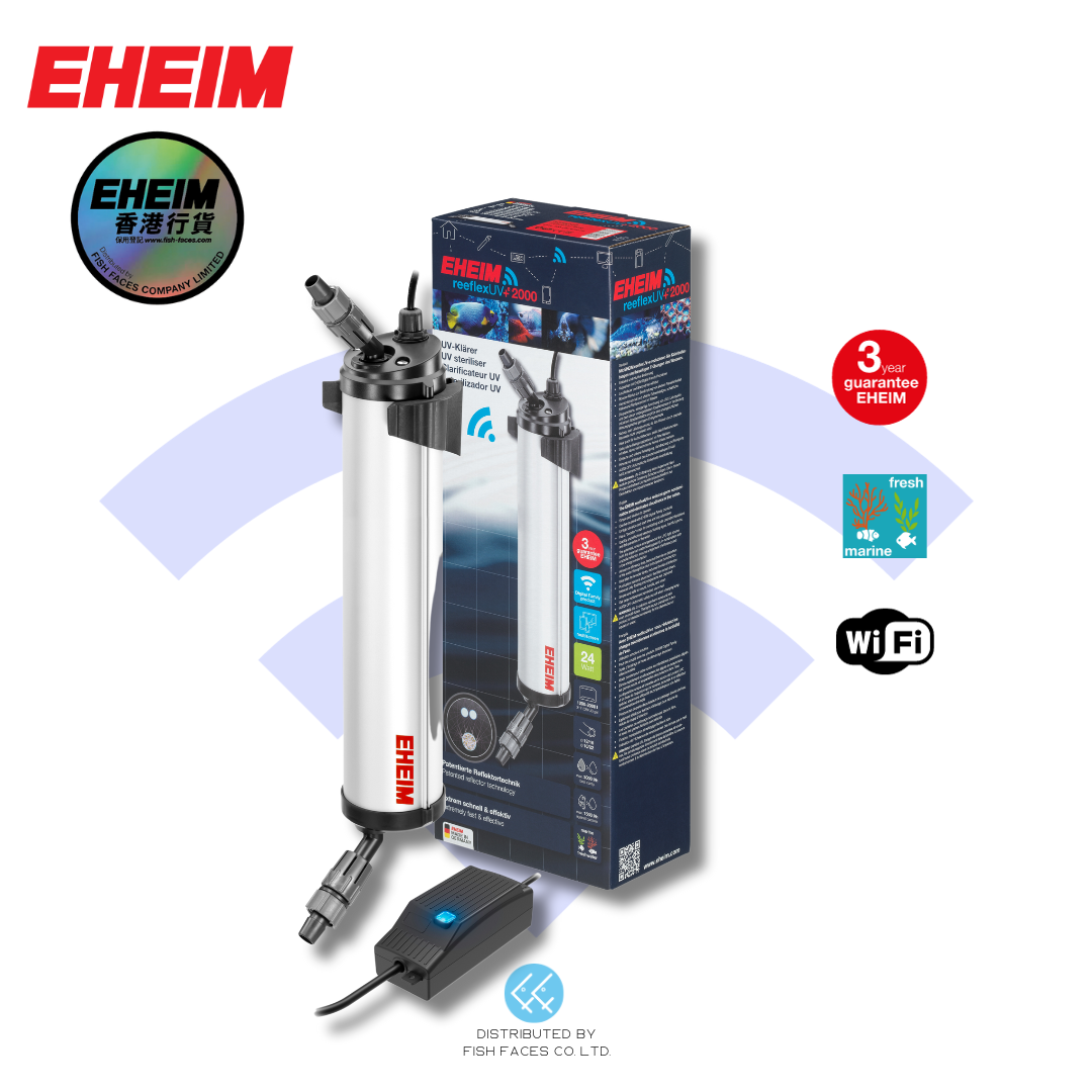 original.png?1699356073