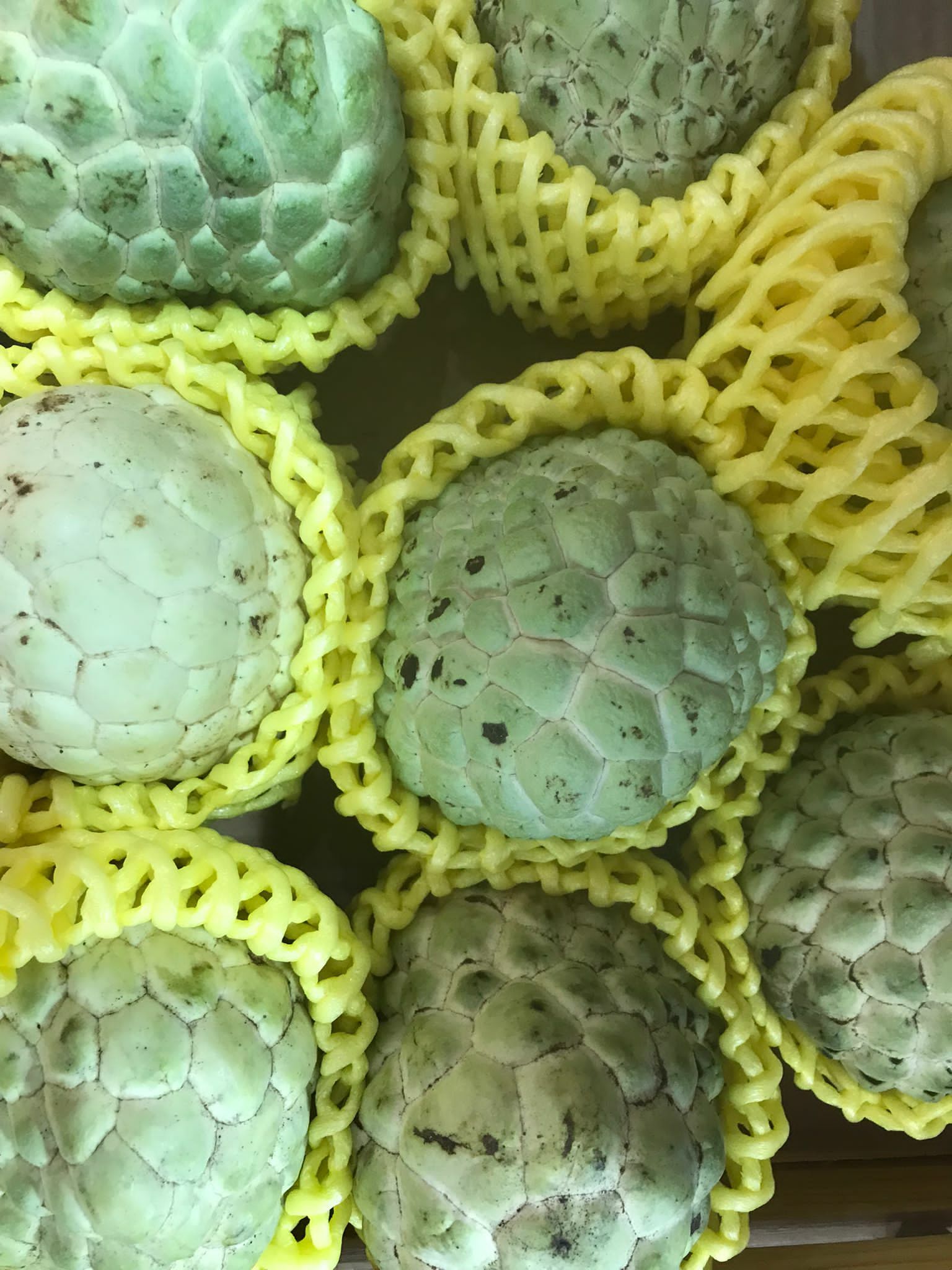 Bless-Fruit-泰國釋迦