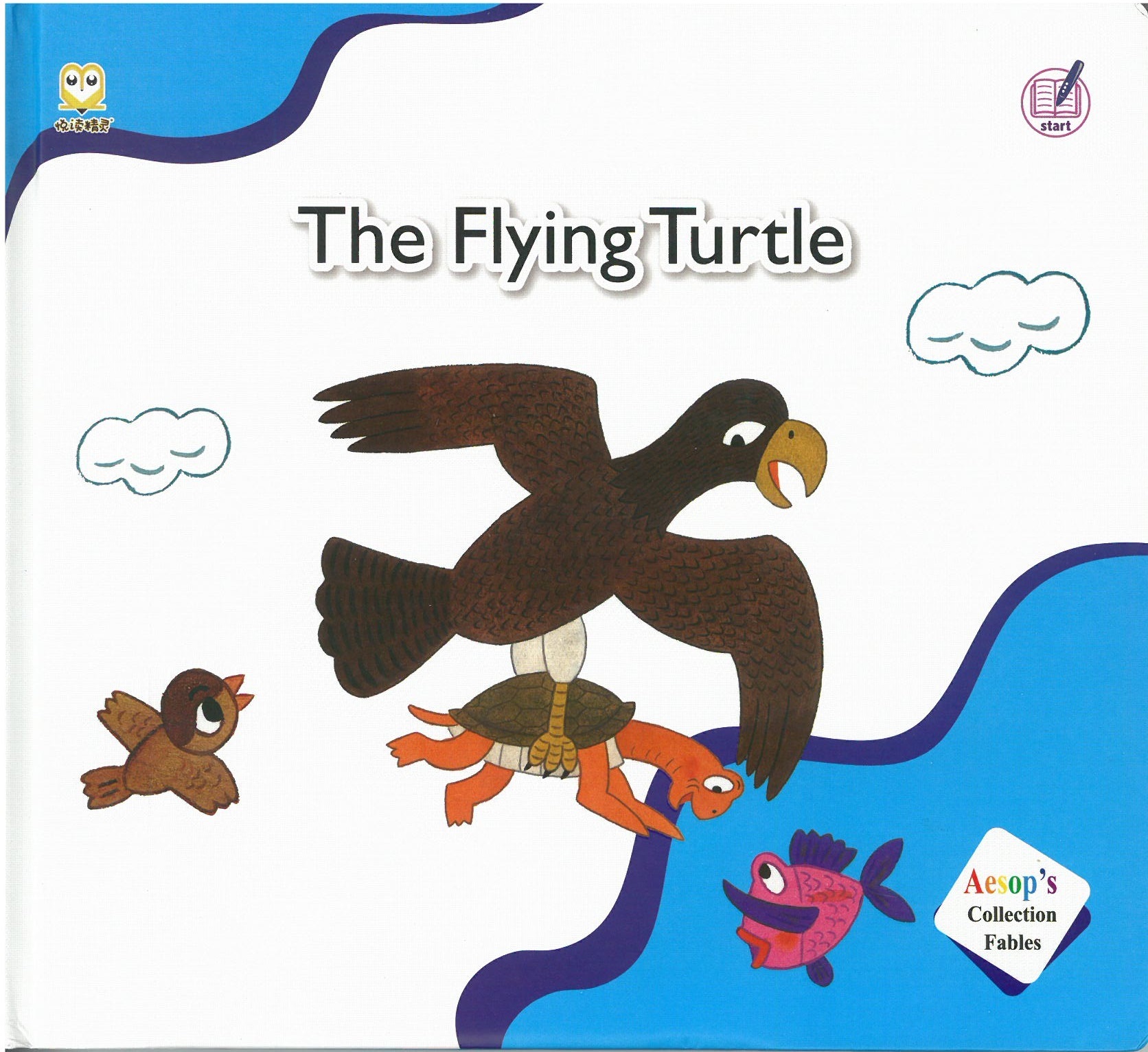 The Flying Turtle