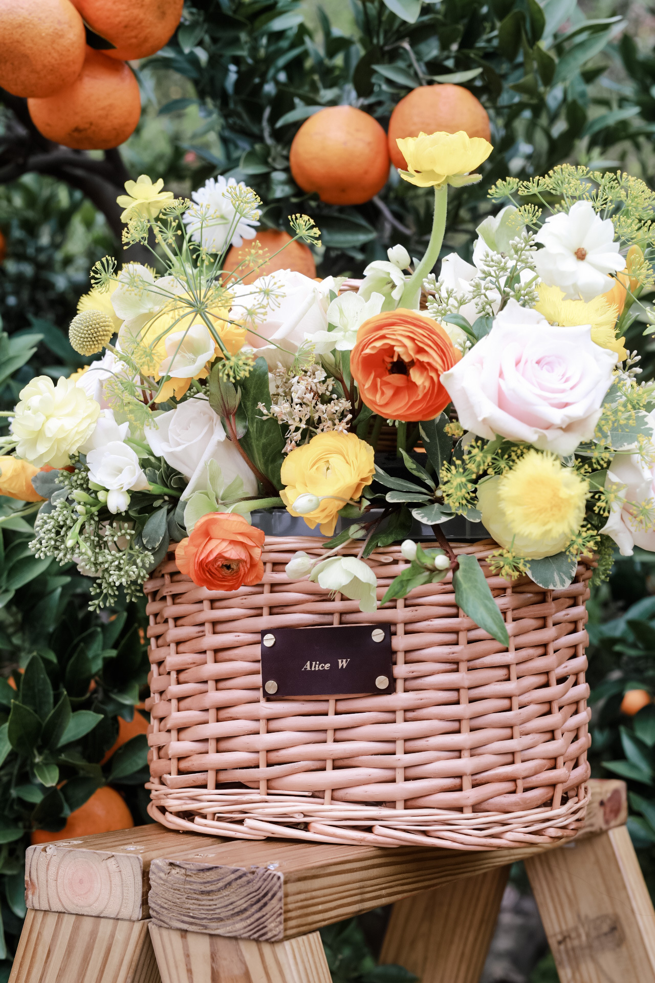 Orange Orchard