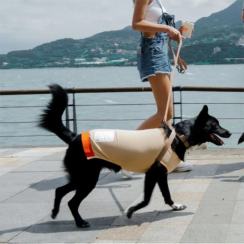 CAMPET Sport Cool Pet Cloth