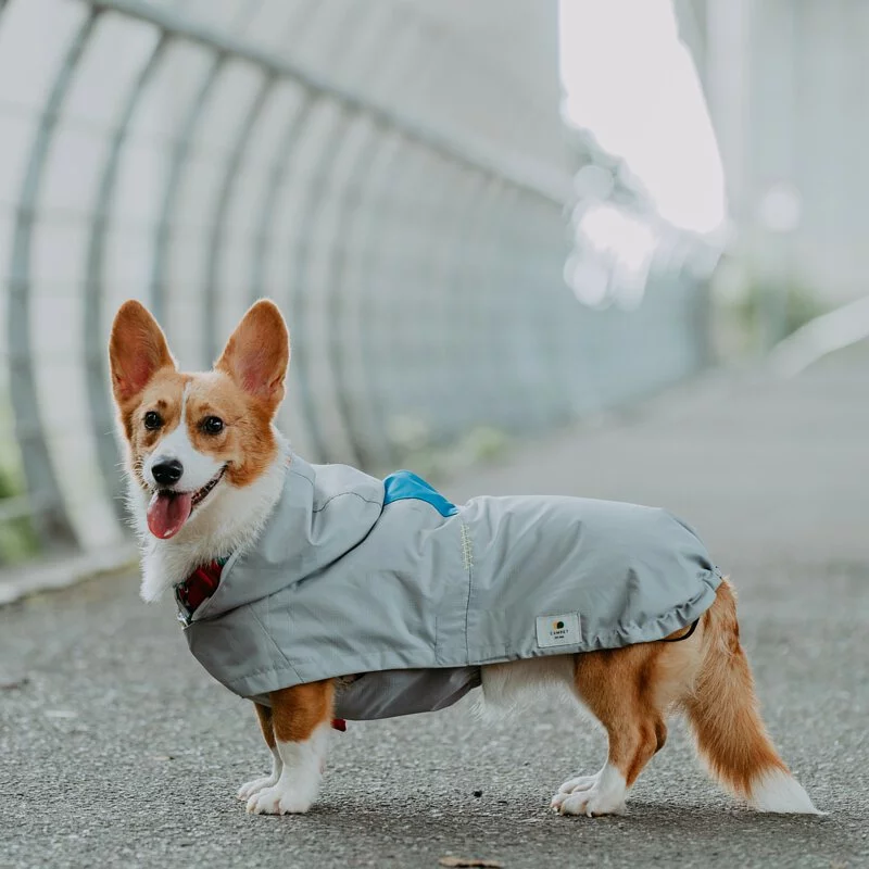 CAMPET SPACE α quick wear pet functional coat GREY