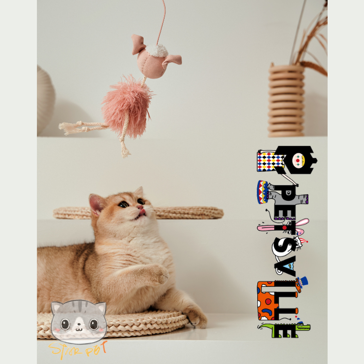 Petsville Pig Cat Teaser