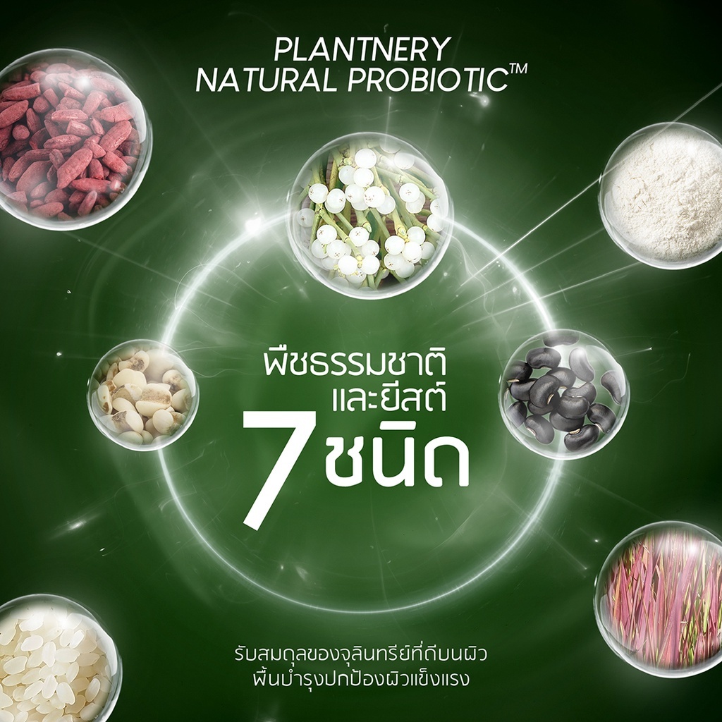 泰國 Plantnery 茶樹 益生菌 強效 去痘 面膜 25ML